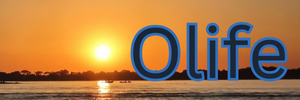 Olife